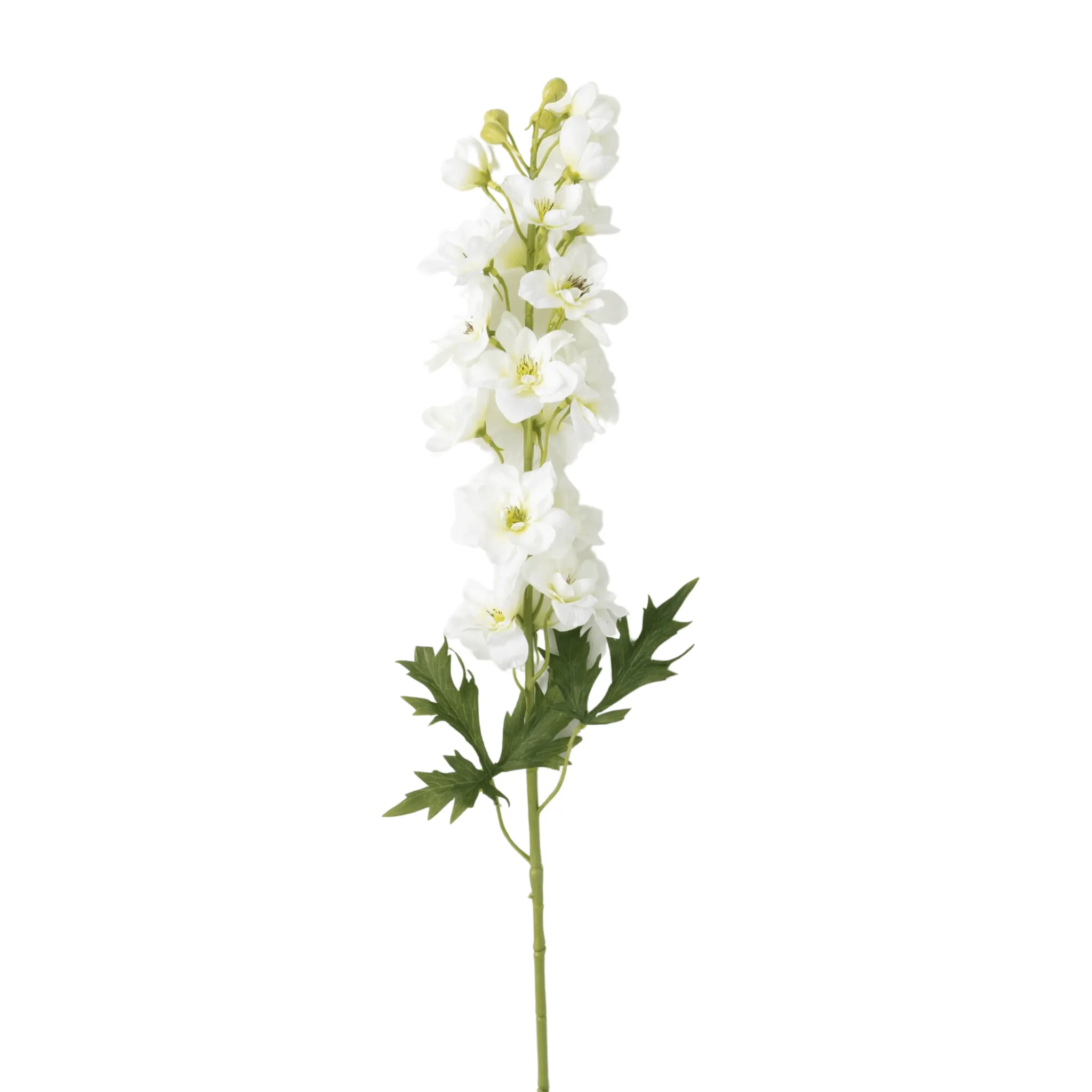 Crisp White Delphinium Spray