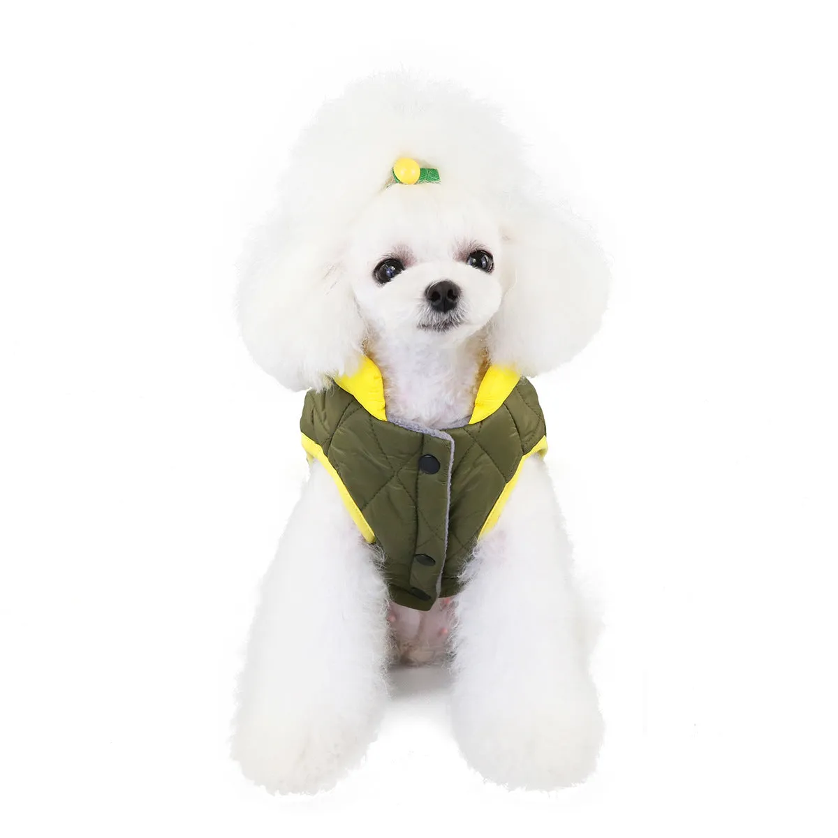 Small dog cotton coat with pocket pet clothing