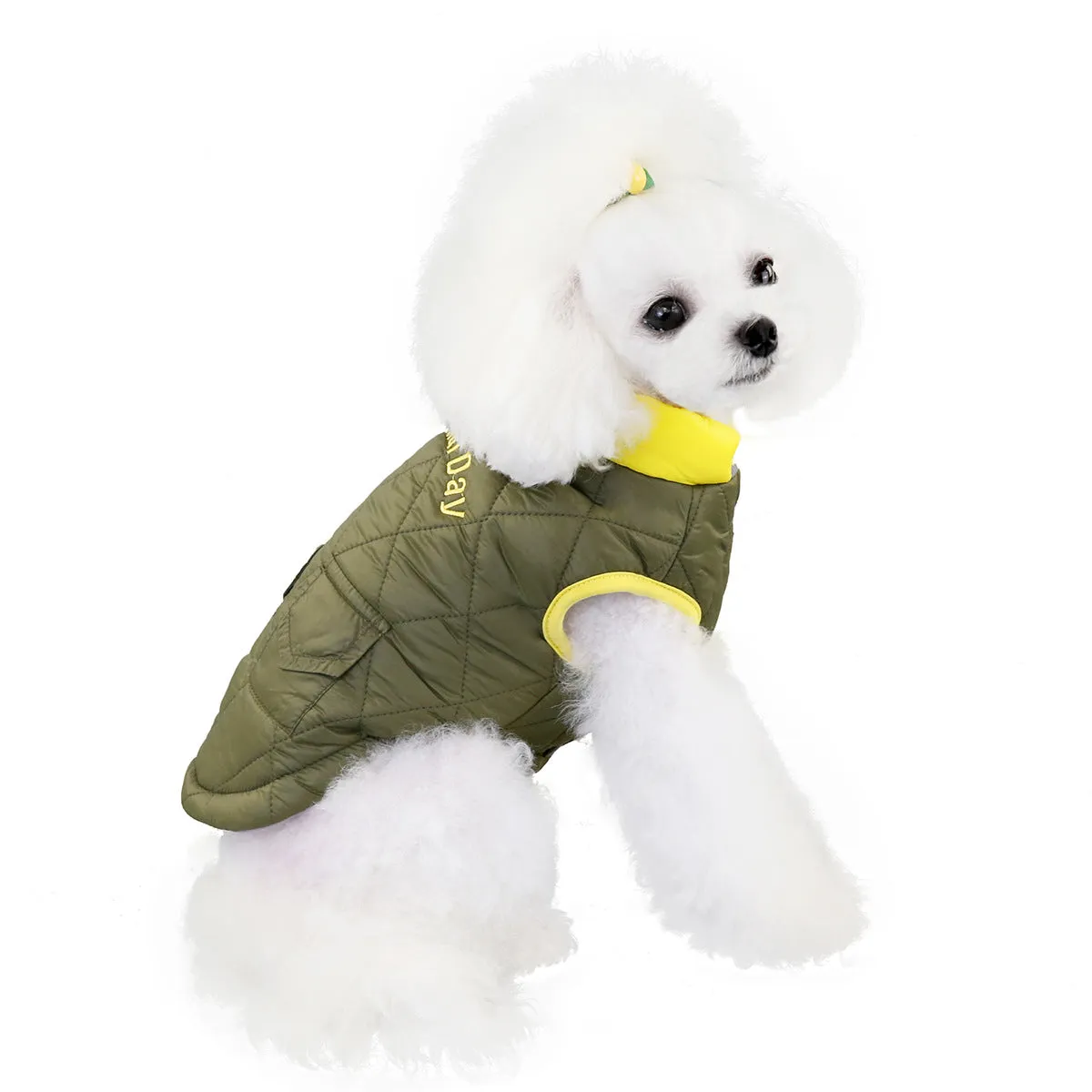 Small dog cotton coat with pocket pet clothing