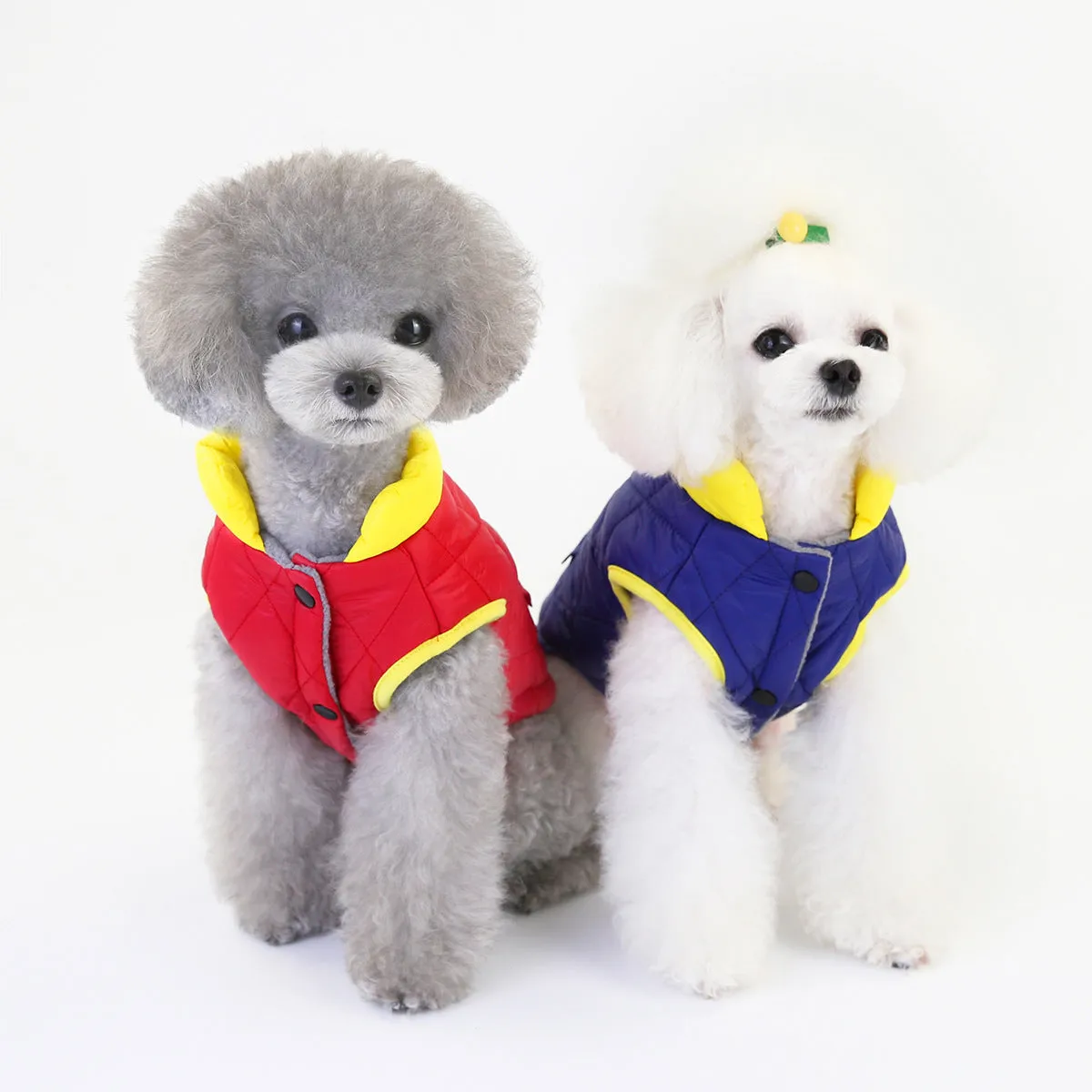 Small dog cotton coat with pocket pet clothing